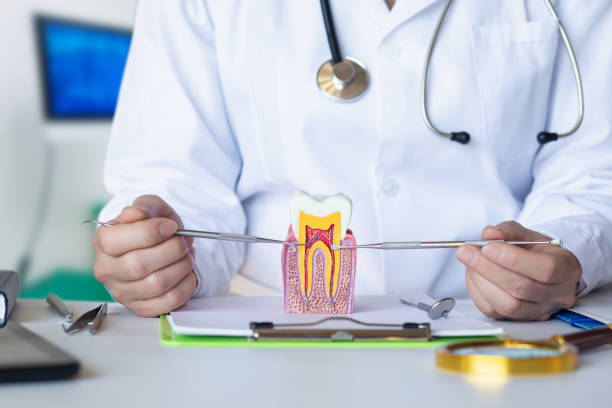 Best Emergency Dental Care for Broken or Chipped Teeth in Magnolia, AR